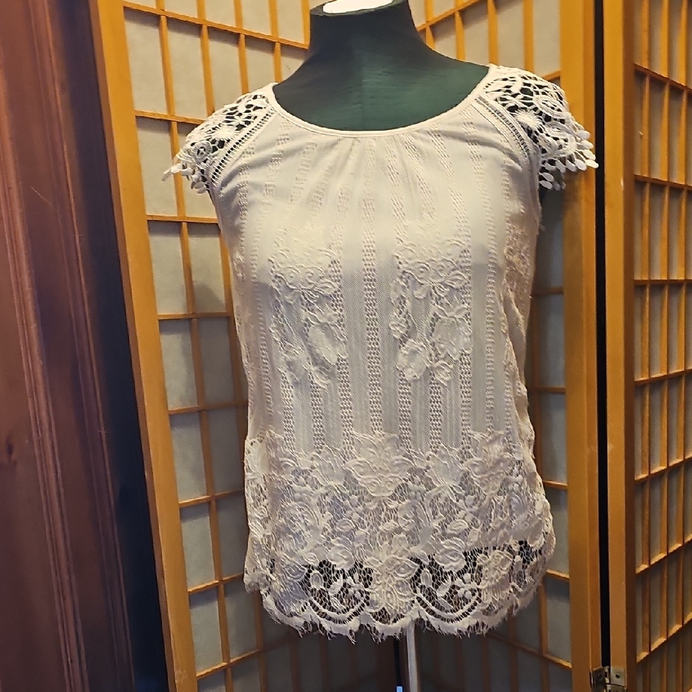 No Boundaries Cream Lace Cap Sleeve Blouse